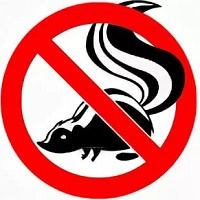 Бьютисон - почему эти матрасы особенные Бьютисон - почему эти матрасы особенные