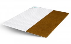 Купить Cocos 3