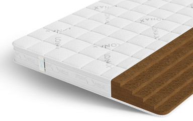 Купить Cocos 15