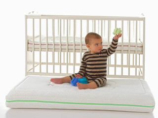 Купить Cuna Oveja