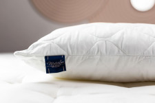 Купить Молина 2 шт